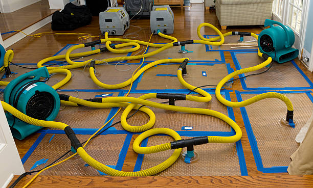 Professional Flood Damage Restoration technician working in Graford, TX